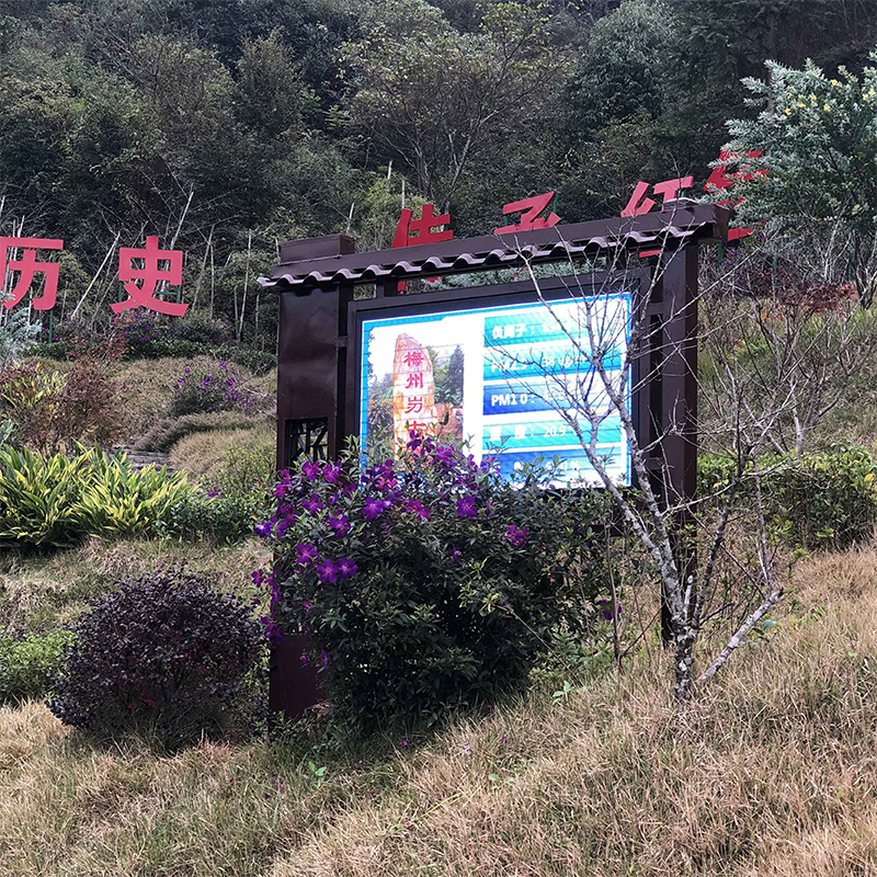 負(fù)氧離子在線監(jiān)測(cè)廠家